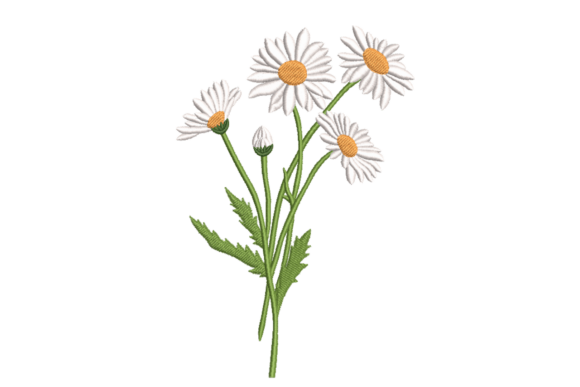 Wild Daisy Stems – Simple Floral